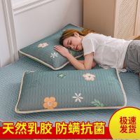 夏季冰丝凉席天然乳胶枕套防螨抗菌一对装枕头套48*74cm保护枕芯 天然乳胶-泫雅花 防螨抗菌枕套48*74cm[单只装