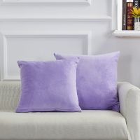 抱枕女生睡觉绒面靠垫沙发办公室床上靠背垫腰靠枕床头抱枕套含芯 宝宝绒-浅紫 40x40cm(单独套子)