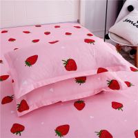 单人枕套枕头套一对装亲肤磨毛成人枕套学生枕头套枕芯套 草莓甜心 亲肤枕套[单只装]
