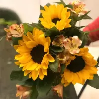 向日葵水养真花太阳花鲜花云南昆明基地直发到家家居客厅摆设 向日葵3支加草加进口保鲜剂 普通棉袋包装