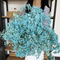 云南满天星干花花束真花鲜花大束批发直发勿忘我客厅摆件装饰插花 蓝色 复古小束[满天星]