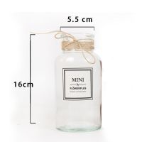 ins干花花瓶插花摆件客厅摆设手工编织花篮桌面小摆件装饰品盆栽 透明玻璃瓶+标+麻绳