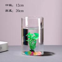大号透明圆柱水培富贵竹百合花干花插花玻璃花瓶摆件水养鱼缸龟缸 12*20圆柱