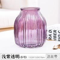 宏达欧式彩色玻璃透明花瓶ins客厅摆件插花水培富贵竹百合装饰品 浅紫色小号