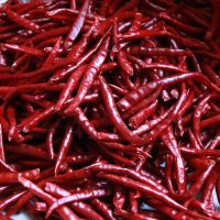 干辣椒辣椒粉农家自晒丘北辣中辣香辣小米辣特香干货云南特产 100g