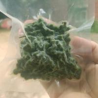 新鲜青花椒新鲜藤椒麻椒保鲜花椒特麻特香四川特产重庆江津九叶青 保鲜花椒120g(试吃不推荐）