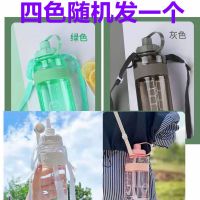 超大容量带吸管水杯男女学生韩版可爱耐摔防摔塑料杯子户外便携杯 600四色随机一个简约吸管杯 +杯刷+吸管刷