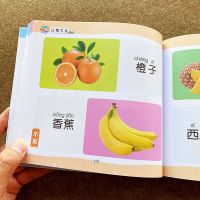 儿童认物大全认识日常生活用品水果动物形状颜色看图识物启蒙认知 宝宝启蒙全书认物大全230页