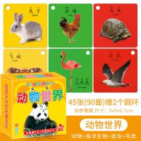 早教识字卡片启蒙婴幼儿动物识图认知卡片儿童宝宝认字卡数字拼音 动物世界