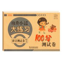 幼小衔接测试卷幼儿园大班学前班拼音数学练习册幼小衔接一日一练 拼音