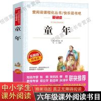 六年级上册课外阅读书经典书目小英雄雨来爱的教育原著童年高尔基 童年(精读版)