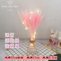 干花花束彩色麦穗麦子真花家居客厅家具摆设装饰拍摄道具开业干花 粉色麦穗(不带瓶)买2送1送同款 30支(送灯)
