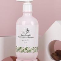 茶一派山茶除油去屑洗发水持久留香茶籽麸洗发露油性发质控油大瓶 500ml洗发水