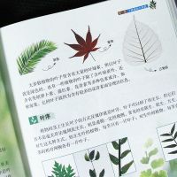 植物百科全书 彩图精装版 6-8-10岁儿童小学生课外阅读书 植物百科全书 精装版