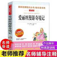 六年级下册人教版快乐爱丽丝梦游奇境鲁滨逊漂流记汤姆索亚历险记 爱丽丝漫游记（爱阅读）