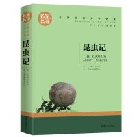 动物素描书 法国布封 五年级上册课外阅读必读书团结出版社昆虫记 昆虫记