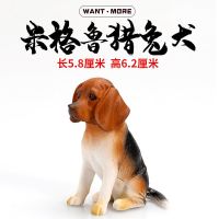 仿真动物模型宠物萌犬小联队米格鲁猎兔犬迷你小狗摆件玩偶 米格鲁猎兔犬
