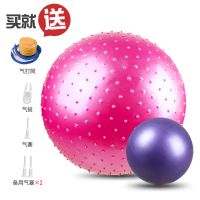 [雯靖]瑜伽球加厚大龙球儿童感统训练球防爆球初学者按摩健身球 粉色 55cm[适合瑜伽练习]