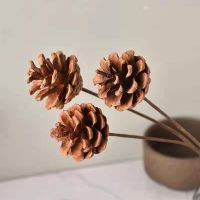 松果装饰干花花束干花摆件天然干花幼儿园干树枝森系手工材料松塔 油松果4.5-5.5厘米五支 带40cm仿真花杆