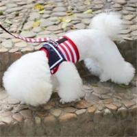 小狗狗牵引绳胸背带狗链子泰迪小型犬遛狗绳子项圈贵宾宠物牵引带 红色牵引绳 XS号 建议 1-2斤