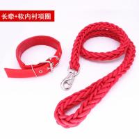 项圈款狗链宠物狗牵引绳金毛萨摩哈士奇边牧阿拉斯加狗绳子遛狗绳 红色八股长牵+泡棉项圈红色 小号（建议10-20斤）