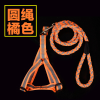 [送铃铛]反光狗链狗绳宠物牵引绳胸背遛狗泰迪金毛幼犬中小型犬 S码[约3-10斤] 单层[颜色随机发]扁绳