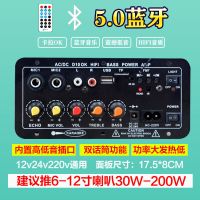 大功率车载蓝牙功放12v24v220v通用200W峰值家用音响双话筒功放机 D10长方形蓝牙-双话筒6-12寸