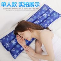 夏季冰垫冰枕头双人午睡水床水垫枕头儿童水枕降温坐垫冰凉枕水袋 75cm*35cm[适用单人床] 深雪花[送五包冰晶粉]
