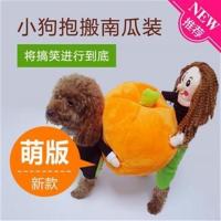 宠物狗狗南瓜变身装衣服泰迪比熊小型犬秋冬装搞怪另类装搞笑泰迪 当天发(2017新款) S