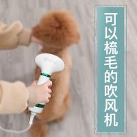 狗狗吹风机小型犬泰迪宠物吹毛神器拉毛机速干猫咪专用 一体梳 【绿环市场主流款】吹风梳