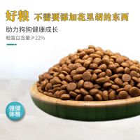 狗粮5斤10斤通用型泰迪金毛比熊萨摩耶幼犬成犬大型犬中型犬土狗 5斤(果蔬三拼装)通用型