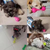 狗玩具磨牙耐咬宠物玩具 TPR带刺杠铃泰迪小狗玩具训犬用狗狗玩具 杠铃带刺的-颜色随机 1个