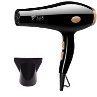 宠物电吹风机大小型犬专用大功率狗狗静音吹毛洗澡神器烘干吹水机 吹风机+扁嘴