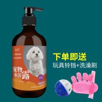 比熊沐浴露比熊专用沐浴露洗澡狗狗沐浴露白毛专用比熊犬用品 1瓶 500ml