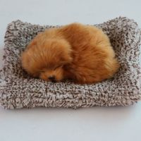 汽车装饰品摆件毛绒玩具小狗车载仿真狗可爱小狗中控台饰品摆件 随机发（送毛绒垫子）