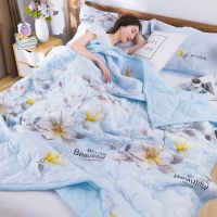 [凉爽一夏]夏凉被空调被春秋夏被儿童被子学生被芯单双人薄被子 百花齐放 80*100cm[午睡被]