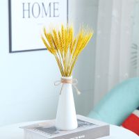 满天星干花束真花风干客厅摆件天然新房装饰插花小清新大束带花瓶 金色