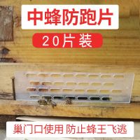 蜂王防逃片蜜蜂防跑中意蜂专用巢门养蜂工具隔蜂王片三代四用批发 [中蜂专用]一代防王跑片送图钉 20片装