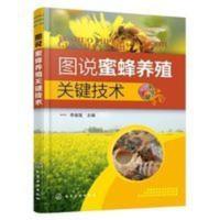 全彩图解 图说蜜蜂养殖关键技术 蜜蜂饲养图书 蜜蜂良种繁殖 图说蜜蜂养殖关键技术
