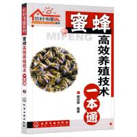 蜜蜂高效养殖技术一本通 农村书屋系列 高效蜜蜂养殖知识大全书