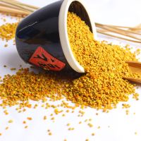 新油菜花粉蜂粮蜜蜂饲料喂蜂天然花粉养蜂工具中蜂蜜蜂发酵蜂粮 1斤装 花粉末