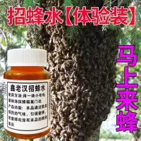 神奇招蜂水引蜂水诱蜂水收蜂水诱蜂液收捕野蜜蜂信息素蜂王信息素 蜂桶箱用 鑫汉招蜂水 蜂桶箱用 1瓶