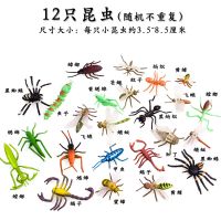 [儿童玩具]仿真昆虫玩具动物模型蜜蜂苍蝇知了蜘蛛儿童礼物 12只小号昆虫
