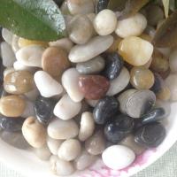 南京雨花石天然鹅卵石庭院铺路造景小石头子花盆多肉装饰鱼缸石 [3斤装] 特级五彩1-3cm