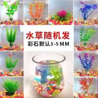 仿真水草造景鱼缸装饰水族箱塑料草龟缸草前景小摆件五花彩石 随机发1颗水草[送饲料]