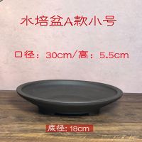 水仙盆无孔水培紫砂花盆铜钱草碗莲无孔花盆假山盆黄缘乌龟泡澡盆 A款小号无孔水盆 图片上标注尺寸