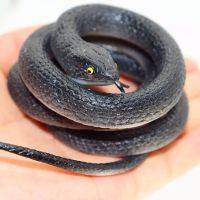 仿真橡胶假蛇黑田蛇整蛊吓人恶搞整人恶作剧道具儿童动物玩具软蛇 80cm仿真黑田蛇