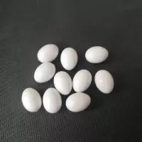 鹦鹉蛋 孵化蛋七彩文鸟蛋实心假蛋 提窝鸟用蛋适合各类鸟提窝孵化 珍珠鸟十姐妹保姆鸟假蛋十个