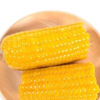 东北特产新鲜黄糯玉米棒甜糯粘玉米真空袋装非转基因甜玉米 220克甜糯玉米 非转基因4支