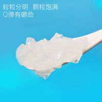 饮之语商用原味椰果粒可吸果冻 大颗粒大块桶装 奶茶店专用原材料 袋装椰果1KG